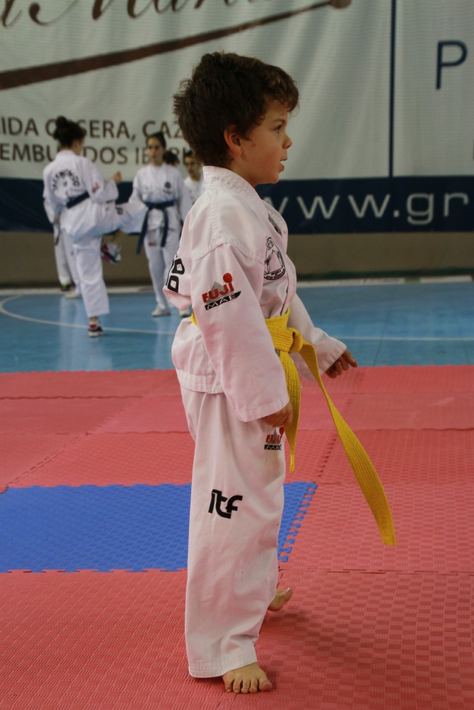 Taekwondo Dic 2016 (121).jpg